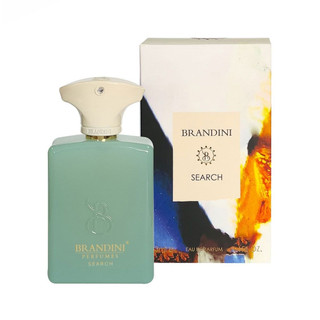 عطر جیبی مشترک برندینی مدل Amouage Search حجم 33 میلی لیتر
