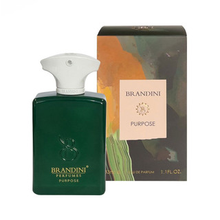 عطر جیبی مشترک برندینی مدل Amouage Purpose حجم 33 میلی لیتر